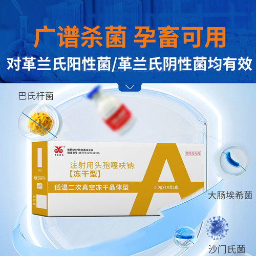 头孢噻呋钠注射兽用猪用牛羊针剂注射液鸡药禽药抗菌消炎兽药正品 - 图0