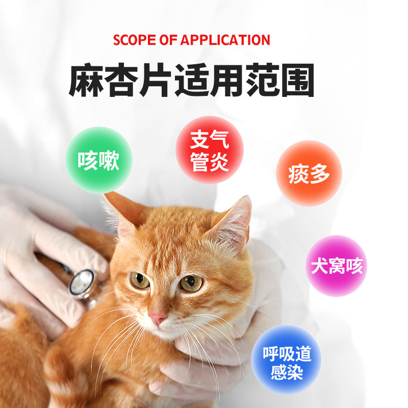 宠物猫咪感冒药猫鼻支狗狗流鼻涕犬窝咳止咳平喘咳嗽麻杏石甘片,淘宝优惠券,粉丝福利购,淘宝优惠卷