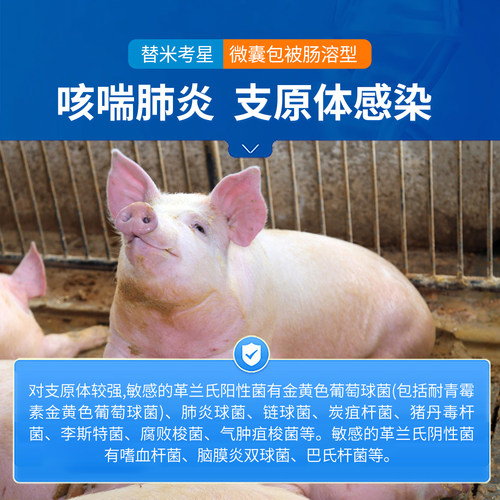 中龙神力包被替米考星兽用正品兽药猪药鸡感冒药鸭呼吸道病预混剂 - 图2