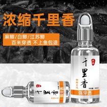 Betukori scented small medicine bait wild fishing carp crucian carp specializes in black pit special grass carp fish stock additive 3175