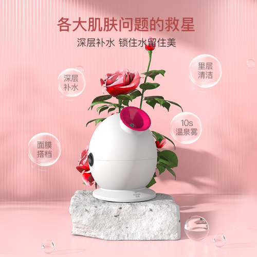 金稻KD233B蒸脸器热喷蒸汽美容仪小巧便携深层补水热雾润肤家用 - 图0