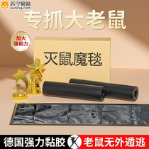 Sticky Rat Plate Blanket Sticky Rats Powerful super-efficient capture of the rodent Stars Divine home Viscose Winter New 824