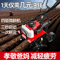 Mini-tiller small agricultural petrol rotary tiller Home hoe Weeding Pine Earth Ditching Plow Fields Silver Dragon Island 1606