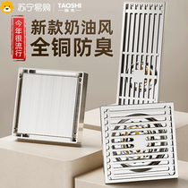 Floor Drain Deodorant Full Copper Wire Drawing Cream Wind Washing Machine Toilet Sewer Shower Strip Invisible Universal 1286