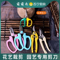 Gardening Floral Scissors Wide Head Home Floral Cut Flowers Floral Bouquet Cut Flowers Branches Twigs Branch Repair Branches Tools 1895