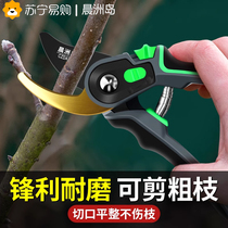 Cut Branches scissors landscaped floral arts trim branches Scissors Fruit Tree Scissors Coarse large flower Cut gardening Clippers Tool 2084