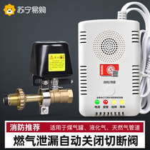Gas Gas Gas Gas Gas Tank Leak Auto Shut Off Valve Hotel Commercial Liquefied Gas Alarm 1832