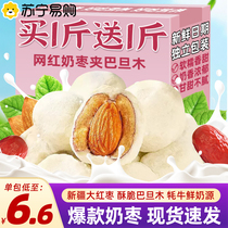 Milk Date Batan Wood Xinjiang Special Production West Domain Mesh Red Batan Wood Sandwich date Office Leisure Little snacks 521