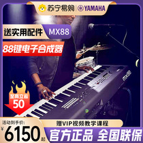 Yamaha (YAMAHA) entry-level synthesizer 88 key piano key stage MIDI chic keyboard 744]