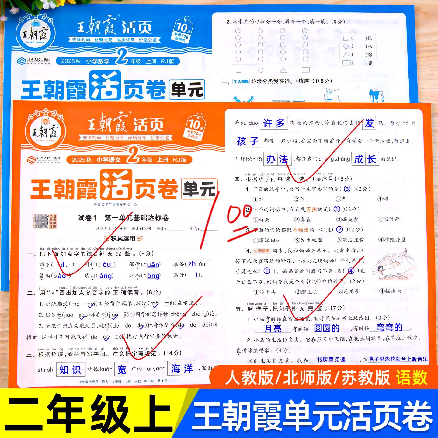 2025秋 二年级上册测试卷全套语文数学王朝霞试卷单元活页卷小学2年级同步单元测试卷期中期末冲刺考试卷子专项训练人教版北师苏教 - 图0