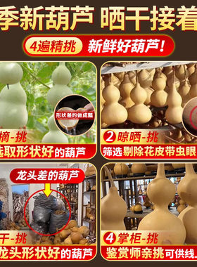 天然葫芦挂件真胡芦灸中