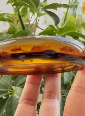 花语玉髓天然巴西老料红刺景玛瑙手镯大圈口63mm