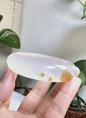 花语玉髓 天然海洋玉髓马料高冰象形鲨鱼玛瑙手镯圈口55mm