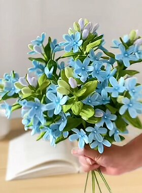 浪漫新款蓝星花手工材料包diy