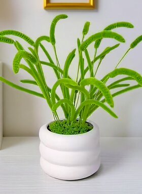 狗尾巴草毛草花束手工diy材料包