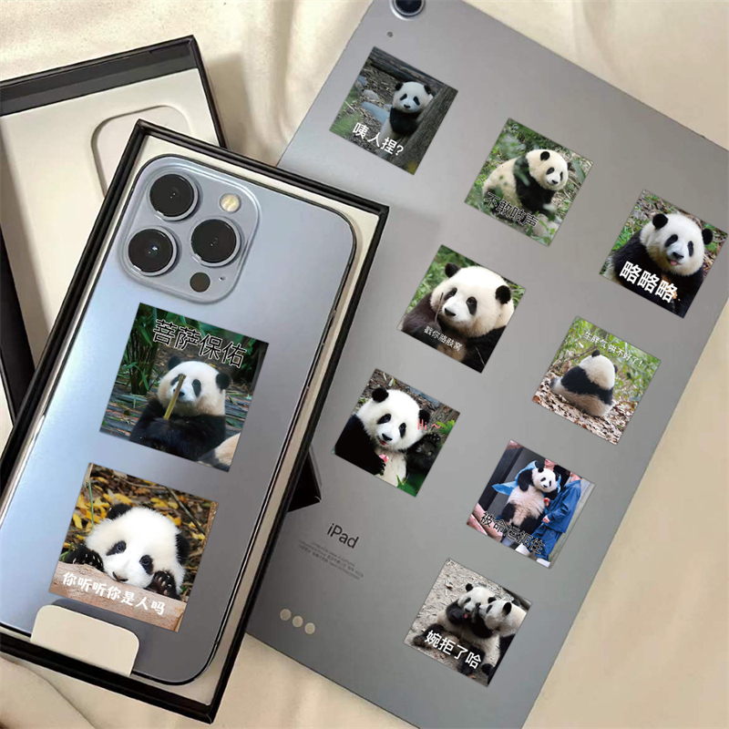 拾乐贴纸包 熊猫花花系列 国宝动物表情包手账素材装饰贴画 63张