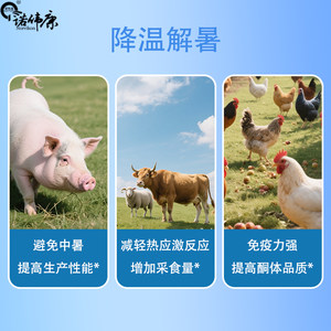 诺伟康冰爽一夏vc兽用禽用维生素解暑降温猪牛羊鸡鸭鹅饲料添加剂