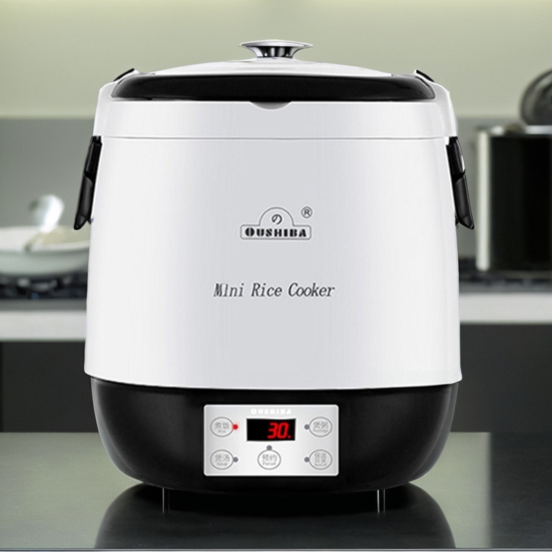 12V24V220V300W电饭锅汽车载家两通用电饭煲大货车智能分体式2L升 - 图0