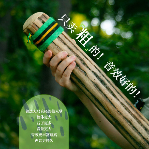 梵木果雨棍南美智利仙人掌雨棒雨声模拟冥想白噪音音疗小众乐器 - 图0