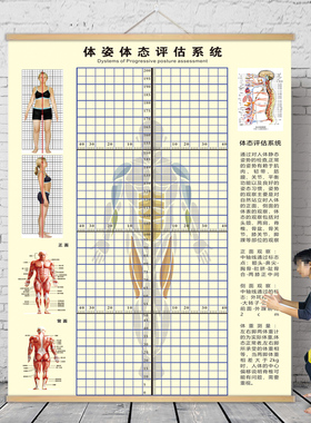 体态评估图健身房体测表瑜伽私教站姿形体脊椎修复身体装饰挂画布