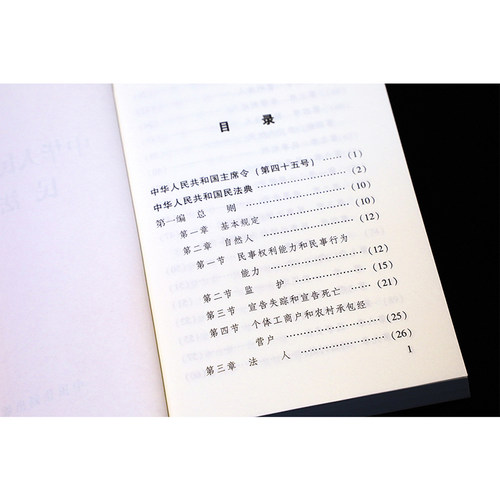 中华人民共和国民法典 - 图0