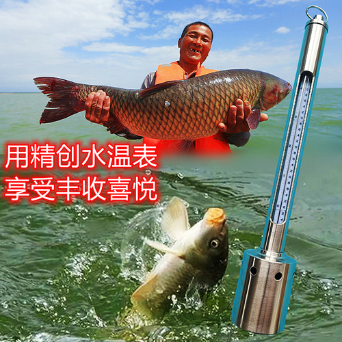 包检WQG-17表层水温表海水温度计养殖水产文监测不锈钢测温仪专用 - 图2