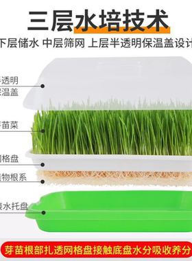 育苗盘阳台种菜盆水培蔬菜豆芽无土小麦蒜苗育苗盆种植盘花盆