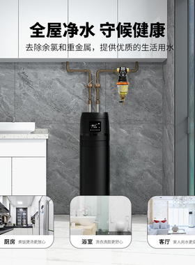 SYR汉斯希尔中央净水机过滤净水