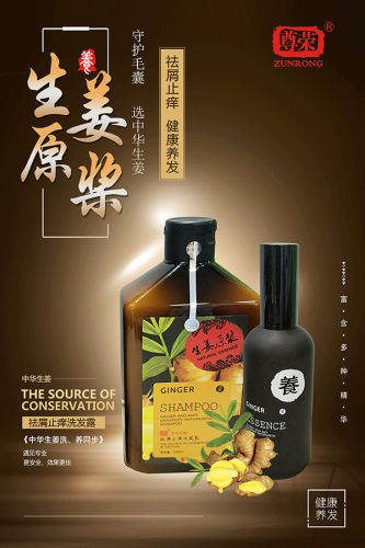 正品尊荣生姜养发洗发水控油键发止脱去油污防断洗发露去屑止痒 - 图1