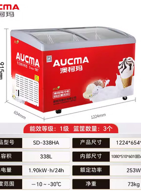 澳柯玛雪糕柜冰淇淋冷柜省电一级