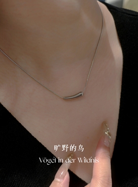 可水洗茄子项链钛钢不掉色锁骨链