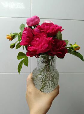 玻璃花瓶水养插花玻璃简约现代
