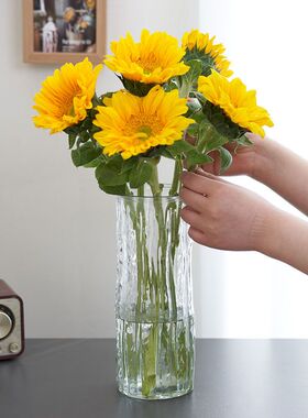 花瓶摆件客厅插花玻璃大号透明轻奢高级水养百合水培绿植鲜花专用