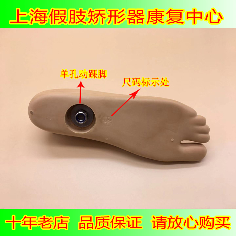 聚氨酯材料大小腿假肢脚板 假脚动踝假脚15CM-27CM 假肢配件 - 图0