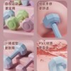 Dumbbell ladies fitness equipment home barbell kettlebell