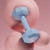 Dumbbell ladies fitness equipment home barbell kettlebell