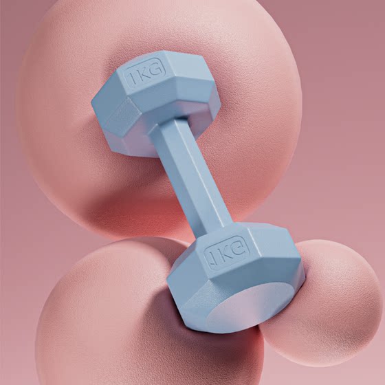 Dumbbell ladies fitness equipment home barbell kettlebell