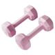 Dumbbell women's fitness equipment home barbell kettlebell children's small dumbbell 2KG pair exercise strength training