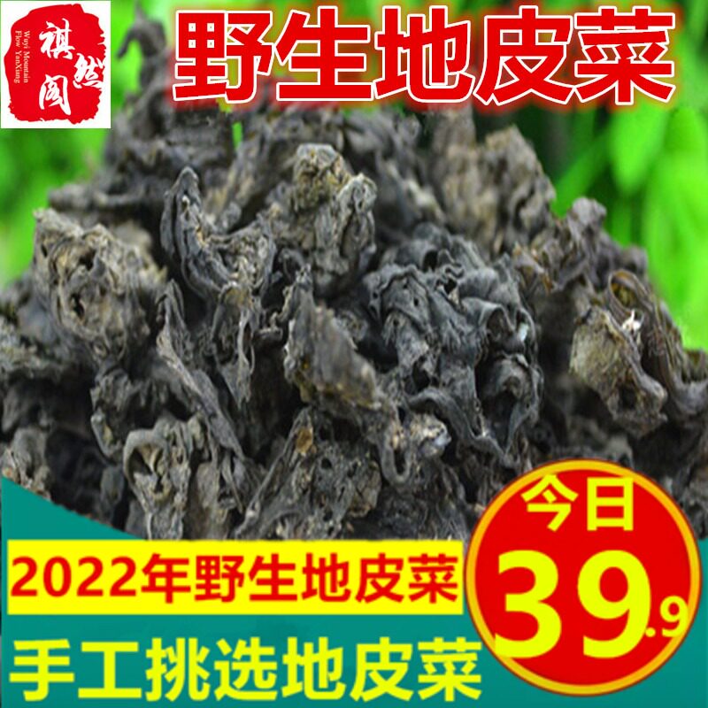 甘肃土特产野生地皮菜干地皮菜野生免邮地衣地达菜地木耳500g包邮