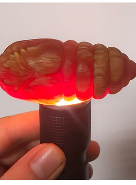 北沉香琥珀木文玩手把玩件松明子满油全透原木纯手工串原创包邮