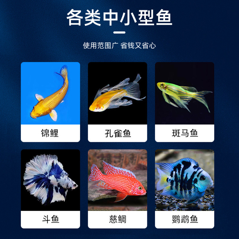 日清丸红鱼粮小型鱼饲料小颗粒斑马鱼食孔雀鱼食幼鱼苗日清 b1b2,淘宝优惠券,粉丝福利购,淘宝优惠卷