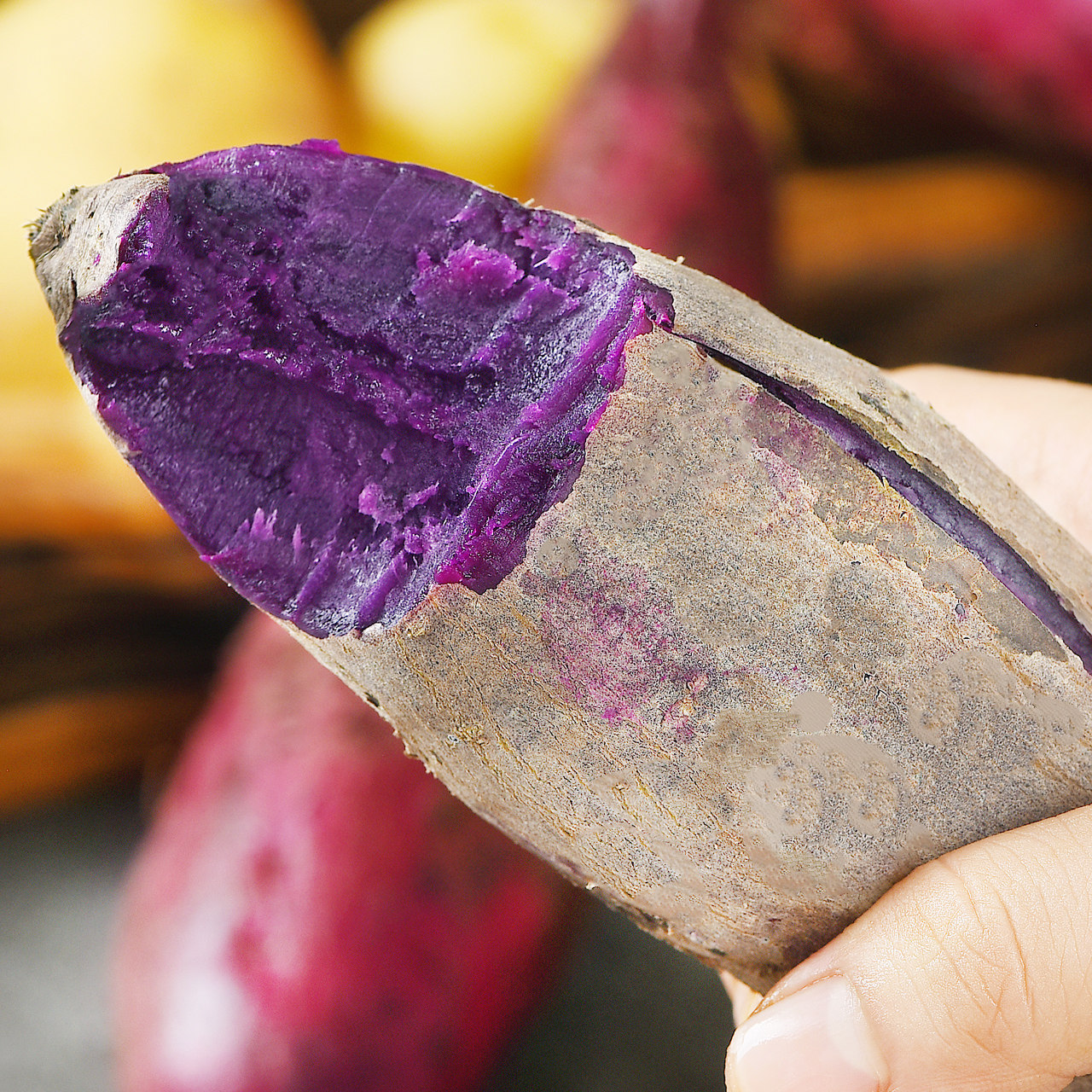 新鲜农家蜜薯10斤板栗包邮5番薯 福瑞达番薯