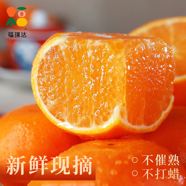 Officially recommended freshly picked mandarin oranges! Ready stock
