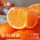 Officially recommended freshly picked mandarin oranges! Ready stock