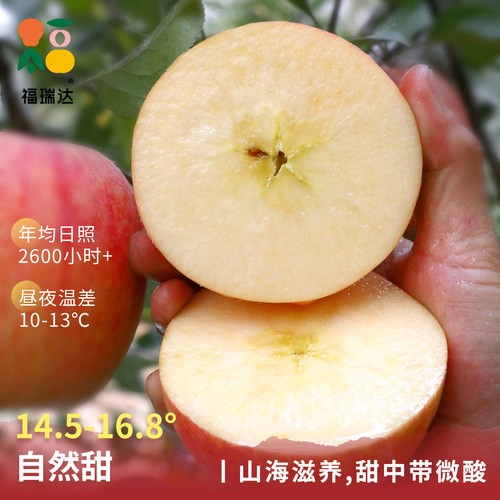 烟台红富士苹果10应当季斤新鲜水果整箱山东栖霞脆甜冰糖心丑平果 - 图2