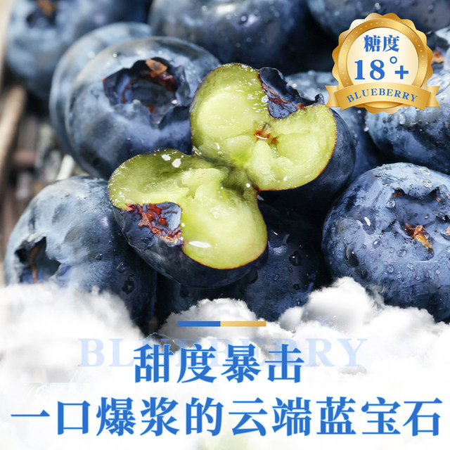 Blue plum fruit king shunfeng