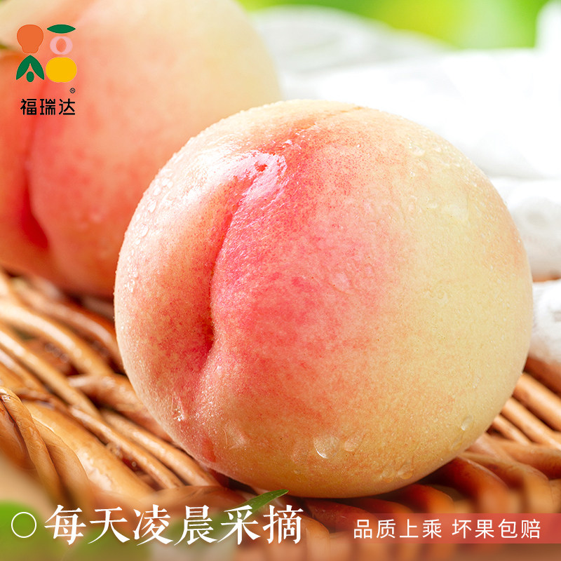 新鲜现摘水蜜桃10斤毛桃子当季露天水果脆甜春雪蜜桃大果孕妇整箱
