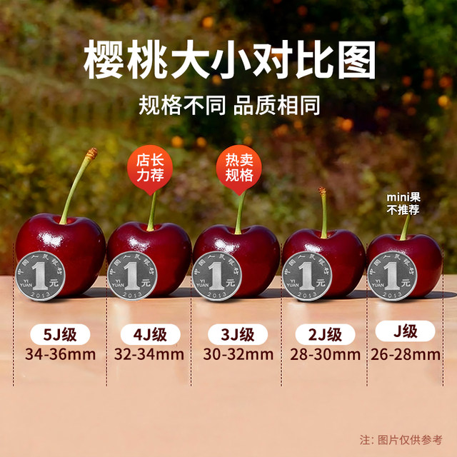 Dalian Meizao cherry gift box