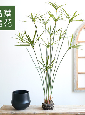 摆件盆栽客厅仿真植物