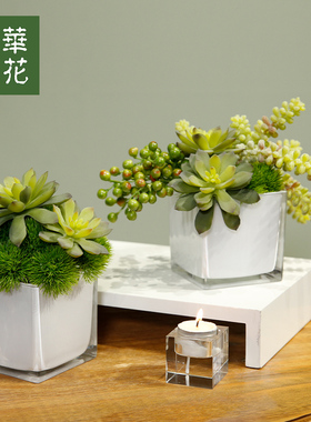 晶华原创仿真绿植摆件茶几花艺